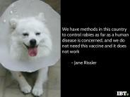 World Rabies Day: Best Quotes, Images, Greetings to be shared