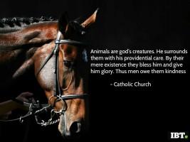 World Animal Day 2016,World Animal Day,World Animal Day quotes,World Animal Day greetings,World Animal Day posters,World Animal Day pics,World Animal Day images,World Animal Day stills,World Animal Day pictures,World Animal Day sayings