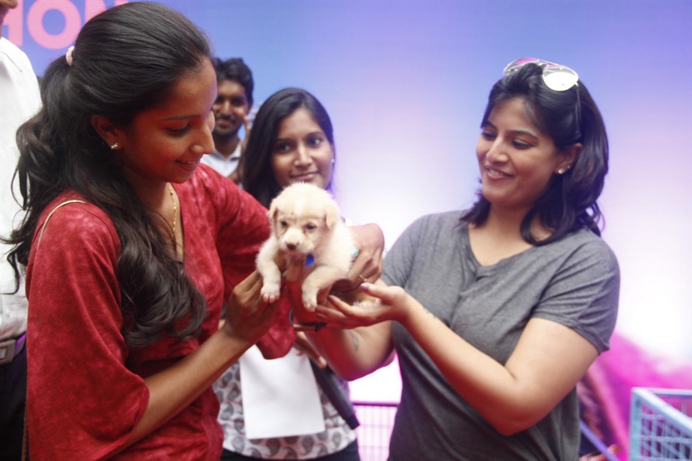 South Indian Actress Varalaxmi Sarathkumar at "Adoptathon" an initiative by the Forum Vijaya Mall in Chennai. Varalaxmi Sarathkumar,Actress Varalaxmi Sarathkumar,Varalaxmi Sarathkumar latest pics,Varalaxmi Sarathkumar latest images,Varalaxmi Sarathkumar latest photos,Varalaxmi Sarathkumar latest stills,Varalaxmi Sarathk