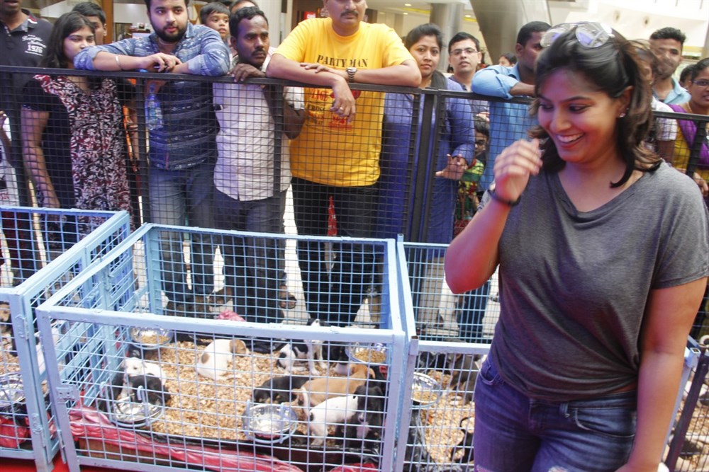 South Indian Actress Varalaxmi Sarathkumar at "Adoptathon" an initiative by the Forum Vijaya Mall in Chennai. Varalaxmi Sarathkumar,Actress Varalaxmi Sarathkumar,Varalaxmi Sarathkumar latest pics,Varalaxmi Sarathkumar latest images,Varalaxmi Sarathkumar latest photos,Varalaxmi Sarathkumar latest stills,Varalaxmi Sarathk