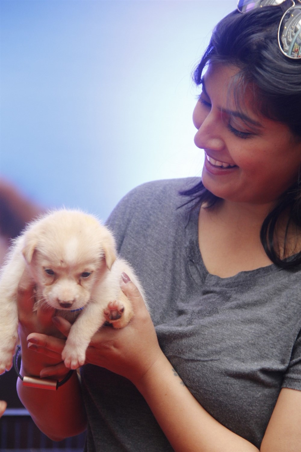 South Indian Actress Varalaxmi Sarathkumar at "Adoptathon" an initiative by the Forum Vijaya Mall in Chennai. Varalaxmi Sarathkumar,Actress Varalaxmi Sarathkumar,Varalaxmi Sarathkumar latest pics,Varalaxmi Sarathkumar latest images,Varalaxmi Sarathkumar latest photos,Varalaxmi Sarathkumar latest stills,Varalaxmi Sarathk