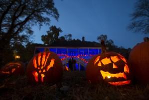 Halloween 2016,Halloween,Halloween Pumpkin,Halloween Pumpkin Ideas,Best Pumpkin Carving Ideas,Pumpkin Carving Ideas,spooky pumpkin