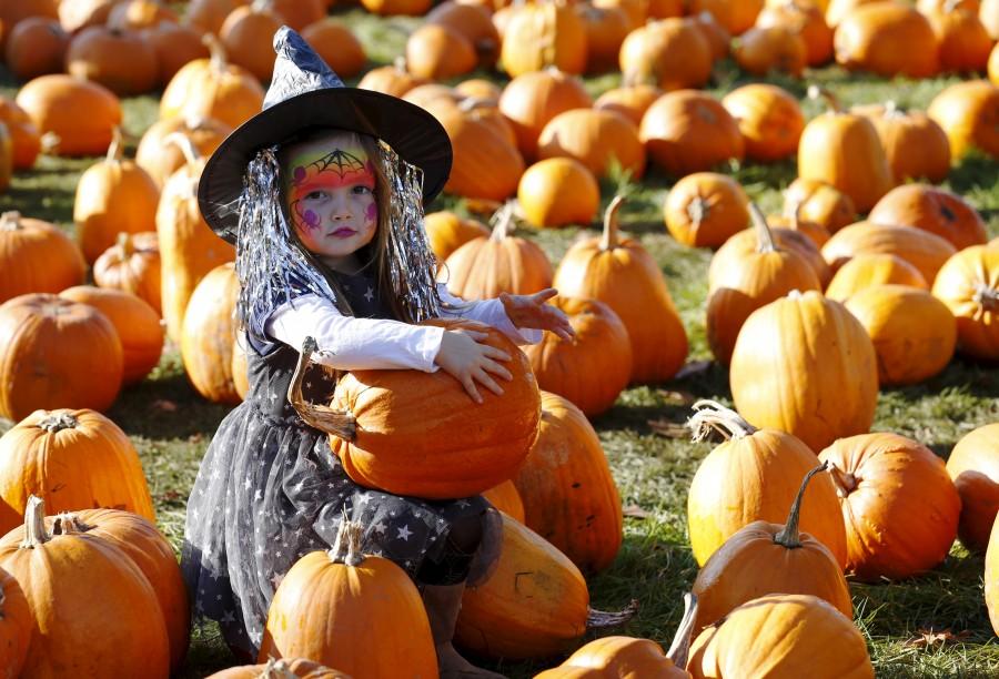 Dressed as a witch, Maisy Thompson plays with pumpkins in the pumpkin patch ahead of Halloween at Crockford Bridge Farm at Addlestone near Woking, southern Britain. Halloween,Kids dressed in witches,Halloween celebrations,Witches Kids Costumes,Witch Costume Ideas For Halloween,Witch Costumes,toddler costumes