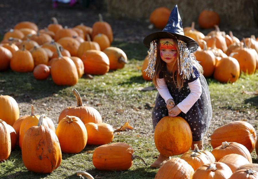 Dressed as a witch, Maisy Thompson plays with pumpkins in the pumpkin patch, ahead of Halloween at Crockford Bridge Farm at Addlestone near Woking, southern Britain. Halloween,Kids dressed in witches,Halloween celebrations,Witches Kids Costumes,Witch Costume Ideas For Halloween,Witch Costumes,toddler costumes