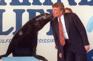 Donald Trump,American politician Donald Trump,presidential candidate,US election,Donald Trump rare pics,Donald Trump rare images,Donald Trump rare stills,Donald Trump rare pictures,Donald Trump unseen pics,Donald Trump unseen images,Donald Trump unseen ph