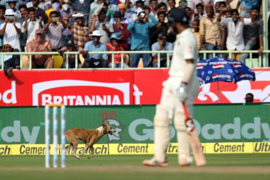 India vs England Vizag Test Day 1: Virat Kohli, Cheteshwar Pujara slam tons. India vs England,Virat Kohli,Cheteshwar Pujara,Virat Kohli and Cheteshwar Pujara,India vs England Vizag Test,Ind vs Eng,India vs England test match,India vs England pics,India vs England images,India vs England photos,India vs England stills,India vs Engl