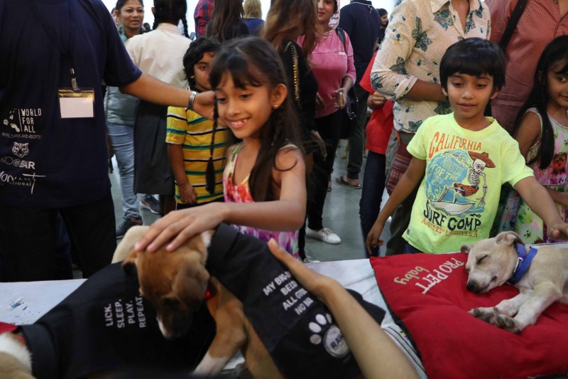 Photos of Farah Khan and Sooraj Pancholi visit Adoptathon 2016. Farah Khan and Sooraj Pancholi,Farah Khan,Sooraj Pancholi,Adoptathon 2016,Farah Khan at Adoptathon 2016,Sooraj Pancholi at Adoptathon 2016