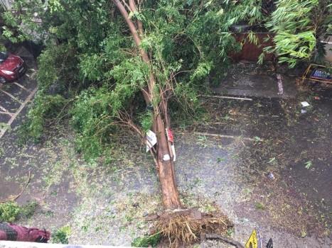 Chennai and its suburbs continue to receive rains since Sunday night with severe cyclonic storm set to cross close to the coast here on Monday afternoon, said weather department.