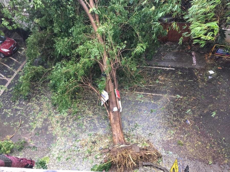 Chennai and its suburbs continue to receive rains since Sunday night with severe cyclonic storm set to cross close to the coast here on Monday afternoon, said weather department. Cyclone Vardah,Cyclone Vardah in Chennai,Cyclone Vardah Andaman,Cyclone Vardah pics,Cyclone Vardah images,Cyclone Vardah photos,Cyclone Vardah stills,Cyclone Vardah pictures,Heavy rain hits Chennai,Heavy rain in Chennai,Chennai,Chennai heavy rain