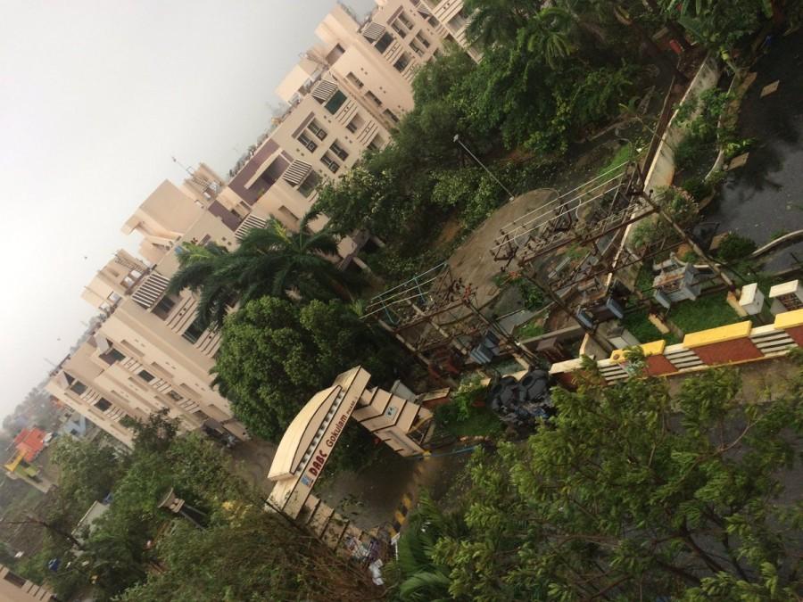 Parts of south coastal Andhra got heavy rains on Monday under the impact of severe cyclone Vardha which crossed the Tamil Nadu coast. Heavy rains,heavy rains lash hyderabad,Heavy rains in Andhra,cyclone Vardha,Cyclone Vardah in Andhra