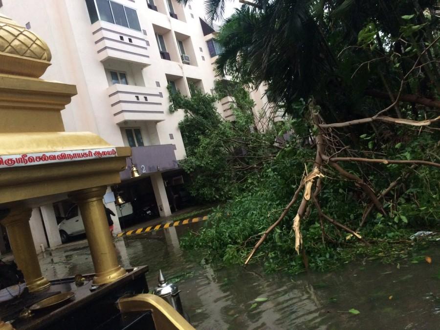 In Nellore town, low-lying areas and roads were inundated and trees were uprooted, disrupting vehicular traffic. The strong winds also uprooted hoardings. Heavy rains,heavy rains lash hyderabad,Heavy rains in Andhra,cyclone Vardha,Cyclone Vardah in Andhra