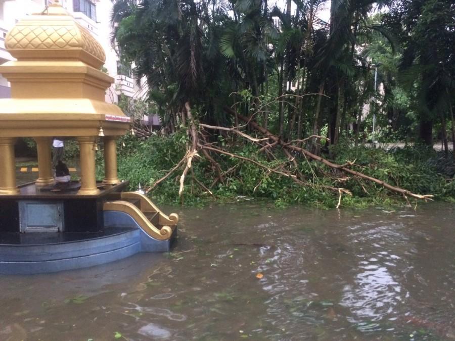Tada, Sullurpeta, Naidupeta and other parts of Nellore districts were also receiving heavy rains. An oil tanker overturned at Sullurpeta on the Vijayawada-Chennai highway. Oil spilled from the tanker. Heavy rains,heavy rains lash hyderabad,Heavy rains in Andhra,cyclone Vardha,Cyclone Vardah in Andhra