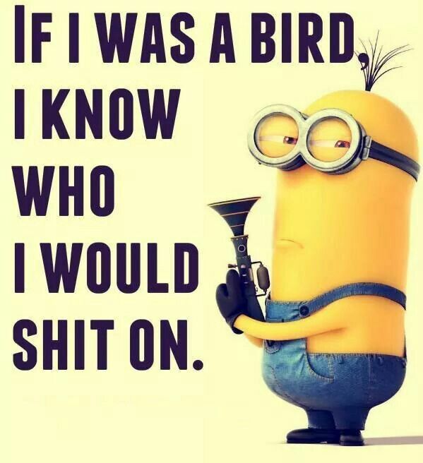 Funny Minions Memes and Pictures, Funny Quotes. Minions,Minions memes,funny Minions memes,Minions quotes,Minions pictures,Minions pics,Minions images,Minions photos,Minions stills,Minions memes pics,Minions memes images,Minions memes photos,Minions memes stills,Minions memes pictures
