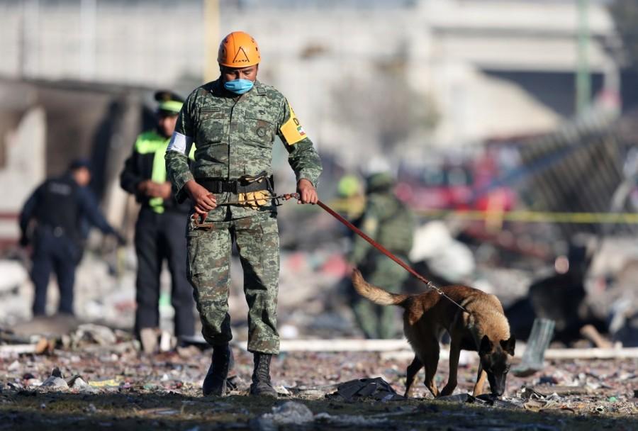 A handler and his dog walk amidst the wreckage of houses destroyed in an explosion at the San Pablito fireworks market outside the Mexican capital, in Tultepec, Mexico December 21, 2016. Mexico fireworks market,mexico fireworks market blast,Deadly blast at Mexico,Mexico blast,fireworks market,San Pablito fireworks market,San Pablito fireworks,Mexican capital,Tultepec