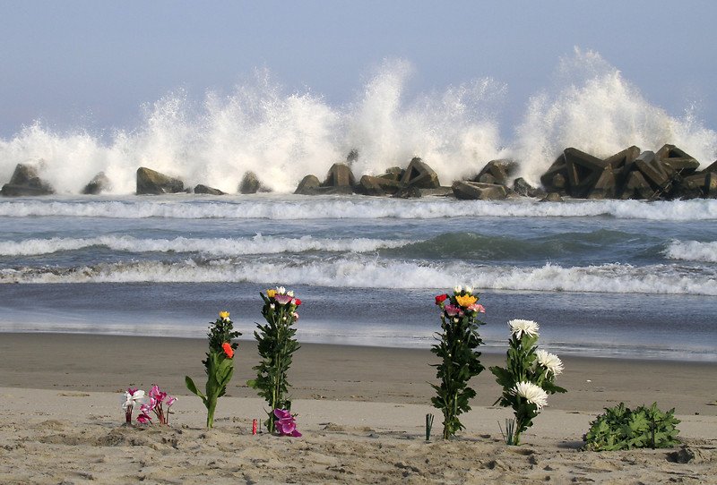 In 2004, giant waves swallowed thousands of people in Tamil Nadu's coastal areas like Nagapattinam, Chennai, Cuddalore, Velankanni and Poompuhar. 2004 Tsunami Victims,2004 Tsunami,Tsunami Victims,Tsunami,homage to Tsunami Victims
