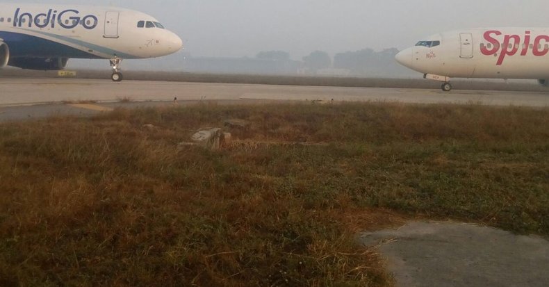 "The incident occurred on Tuesday morning and the matter has been reported to Air Traffic Control (ATC) and the Directorate General of Civil Aviation (DGCA)," Jesra said. According to officials, the DGCA has ordered a probe into the incident. IndiGo and SpiceJet,IndiGo,SpiceJet,IndiGo and SpiceJet flights,IndiGo flights,SpiceJet flights,IGI Airport