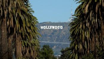 Hollywood sign,Hollywood sign in los angeles,Hollywood sign changed to hollyweed,Hollywood Hills,Hollyweed,Hollywood hollyweed,Hollywoed