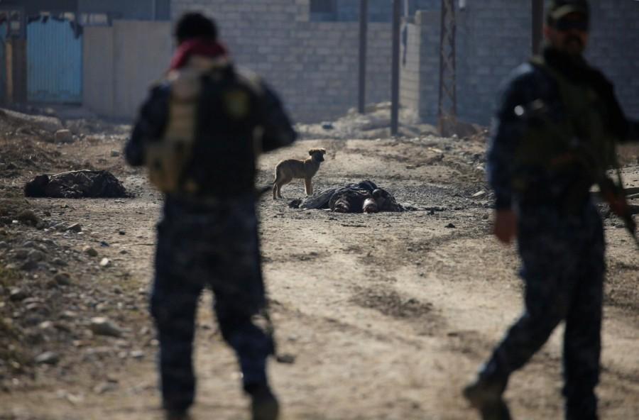 The body of an Islamic State militant is seen on a street during clashes, in eastern Mosul, Iraq, January 13, 2017. Mosul,War in Mosul,Iraqi forces,State block,eastern Mosul