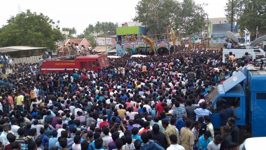 Thousands of people on Monday took to the streets in Madurai's Alanganallur town in Tamil Nadu protesting a ban against Jallikattu, the ancient and popular bull-taming sport. Villagers protest against Jallikattu ban,Jallikattu ban,lathicharge,Police lathicharge,Alanganallur,Alanganallur town,Jallikattu,bull-taming sport