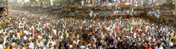 In Jallikattu, a bull vaulter is expected to hang on to the bull's hump for a stipulated distance or hold on to the hump for a minimum of three jumps made by the bull. Villagers protest against Jallikattu ban,Jallikattu ban,lathicharge,Police lathicharge,Alanganallur,Alanganallur town,Jallikattu,bull-taming sport