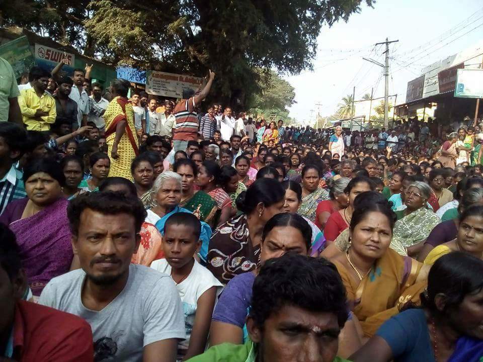 Ever since the ban order, people have been demanding that the central government take necessary legal steps to allow conduct of the sport. Massive protest against Jallikattu,Jallikattu,Jallikattu arrests,Jallikattu Controversy,Jallikattu ban,Tamil Nadu,Alanganallur,Madurai district,Supreme court ban,bull-taming sport