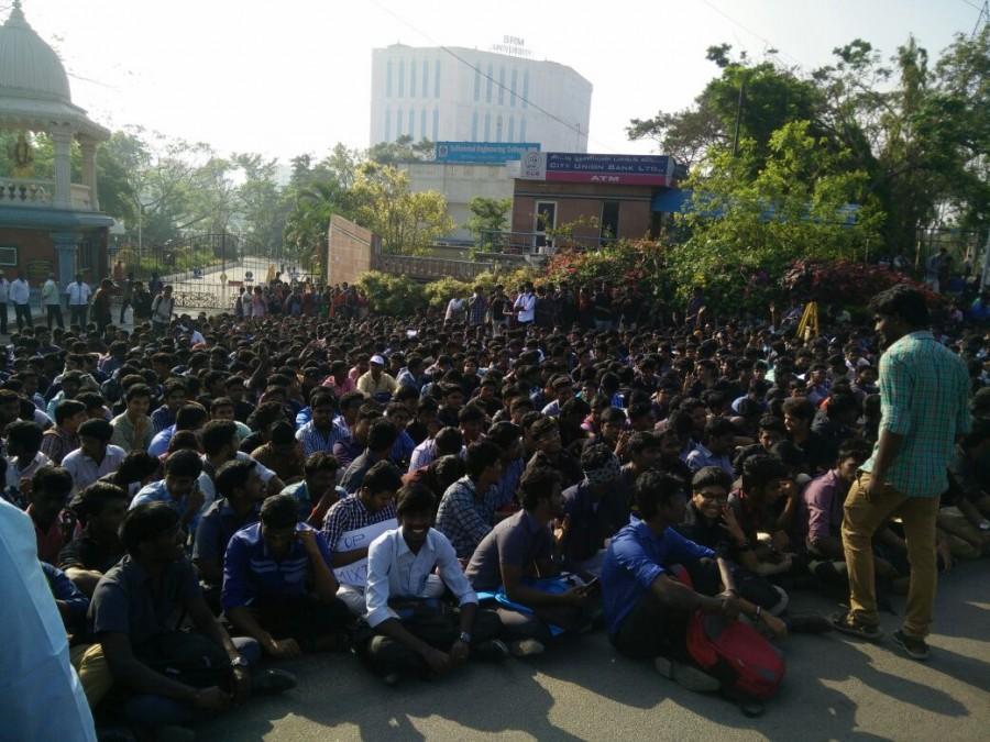 The protest started in the morning after hearing the news about the arrest of jallikattu protestors in Alanganallur in Madurai district. Despite police disconnecting the power supply at Marina Beach, the protestors continued their protest with the help of their mobile phone lights in the night. Jallikattu,Jallikattu protest,Chennai's Marina beach,Marina beach,bull-taming sport,PETA,Ban PETA