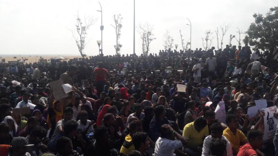 On Monday, thousands of youths who started their protest in Alanganallur in Madurai district against a Supreme court ban on the bull-taming sport, were taken into custody by the police on Tuesday as the protest extended overnight. Jallikattu,Jallikattu protest,Chennai's Marina beach,Marina beach,bull-taming sport,PETA,Ban PETA