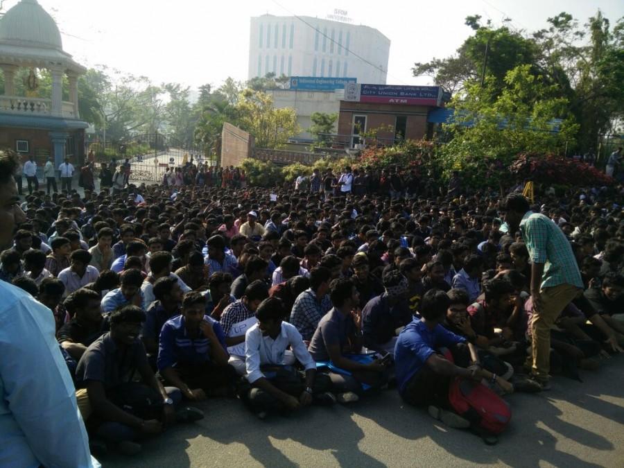 The court also held that bulls cannot be used as performing animals either for Jallikattu events or for bullock-cart races in the Tamil Nadu, Maharashtra or elsewhere in the country. Ever since the ban order, people have been demanding that the central government take necessary legal steps to allow the conduct of the sport. Jallikattu,Jallikattu protest,Chennai's Marina beach,Marina beach,bull-taming sport,PETA,Ban PETA