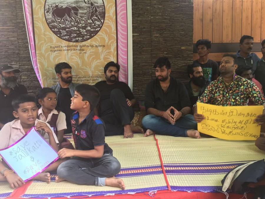 South Indian actor Silambarasan, Mahat and others protesting & sleeping on the streets outside actor Simbu's house. Jallikattu protest,jallikattu protests,Simbu,actor Simbu,Silambarasan,Simbu at Jallikattu protest,actor Simbu at Jallikattu protest