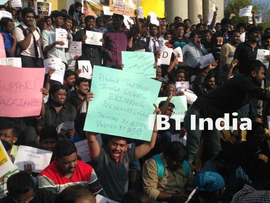 Bengaluru stands with Tamil Nadu; Jallikattu supporters gather in city to protest against the ban. Bengaluru stands with Tamil Nadu,Jallikattu ban,Jallikattu,Jallikattu protest,Jallikattu protest in Bangalore,Town hall