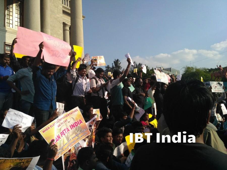 Bengaluru stands with Tamil Nadu; Jallikattu supporters gather in city to protest against the ban. Bengaluru stands with Tamil Nadu,Jallikattu ban,Jallikattu,Jallikattu protest,Jallikattu protest in Bangalore,Town hall
