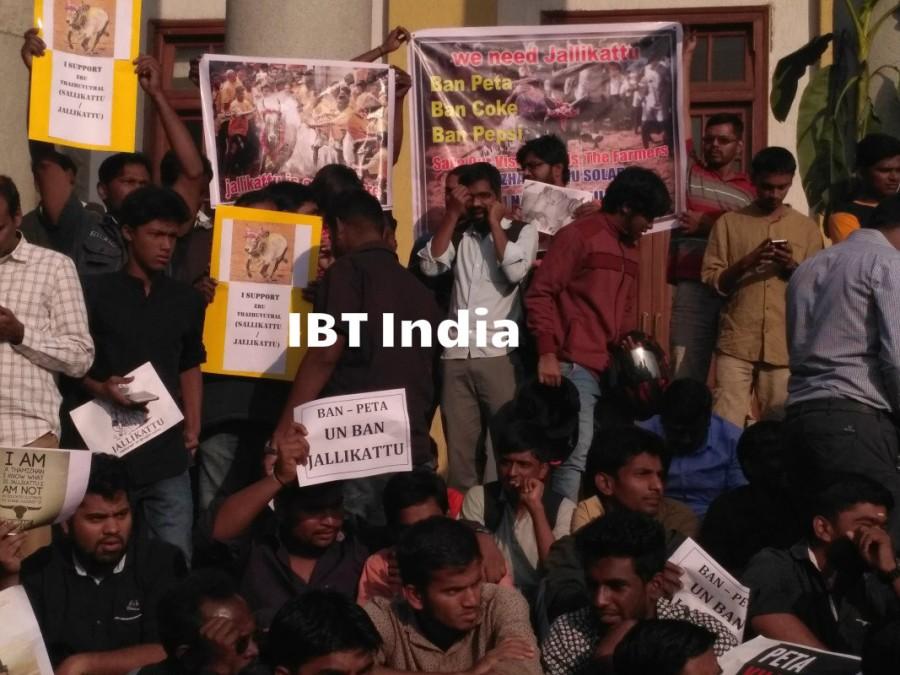 Bengaluru stands with Tamil Nadu; Jallikattu supporters gather in city to protest against the ban. Bengaluru stands with Tamil Nadu,Jallikattu ban,Jallikattu,Jallikattu protest,Jallikattu protest in Bangalore,Town hall