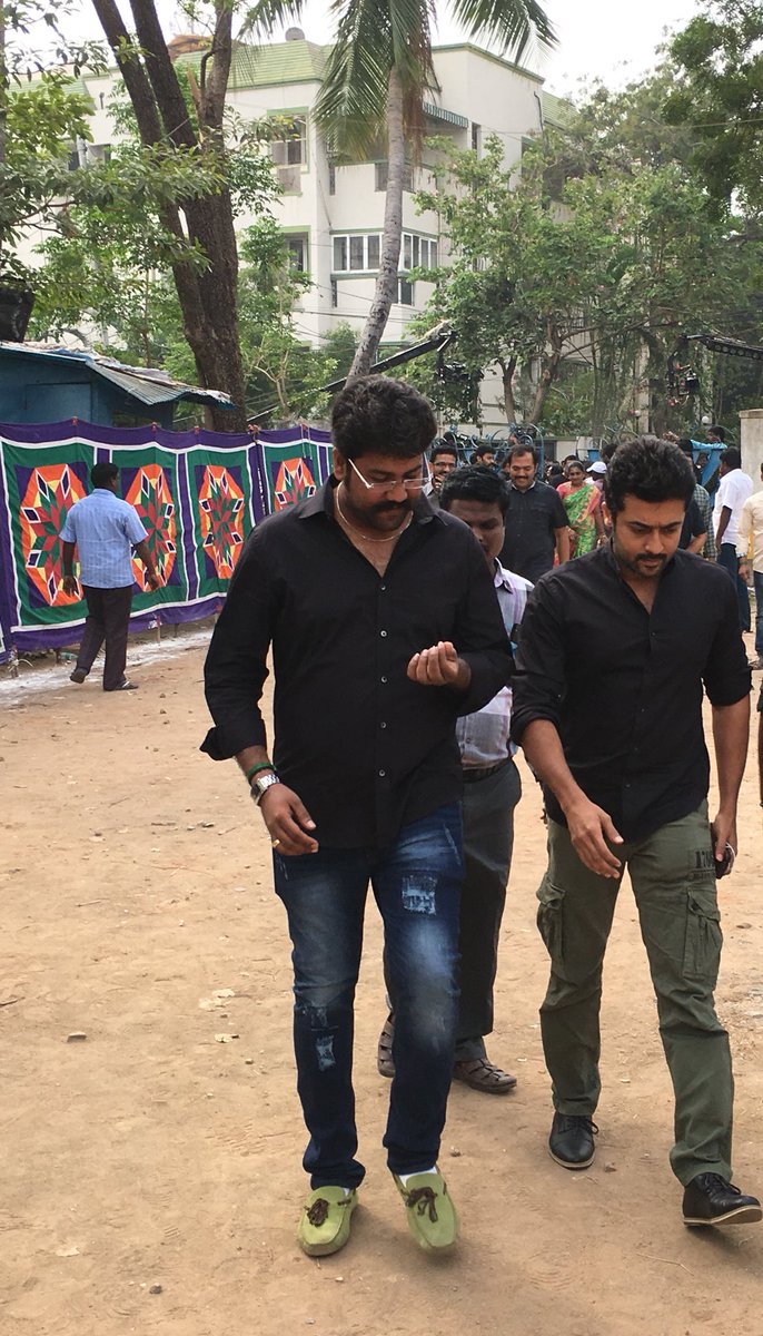 Suriya at Nadigar Sangam Jallikattu protest. Suriya,Sivakarthikeyan,Arun Vijay,Nadigar Sangam Jallikattu protest,Nadigar Sangam,Jallikattu protest,Suriya at Jallikattu protest,Sivakarthikeyan at Jallikattu protest