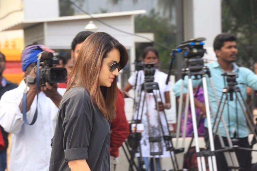 Trisha at Nadigar Sangam Jallikattu protest. Shanthnu,Trisha,Sundar C,Prabhu,Nadigar Sangam Jallikattu protest,Nadigar Sangam,Jallikattu protest,Trisha at Jallikattu protest,celebs at Jallikattu protest,Shanthnu at Jallikattu protest,Sundar C at Jallikattu protest