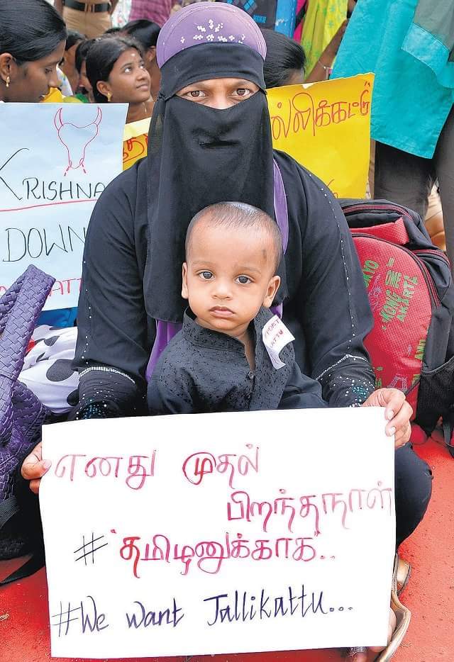 Day 4 of Jallikattu protests and the mood at Chennai's Marina beach is electrifying. Day 4 of Jallikattu protests,Jallikattu protests,Jallikattu protest,Marina beach,Chennai's Marina beach,Jallikattu protest at Marina beach,Jallikattu protest pics,Jallikattu protest images,Jallikattu protest photos,Jallikattu protest stills,Jallikatt