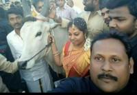 Day 4 of Jallikattu protests and the mood at Chennai's Marina beach is electrifying.