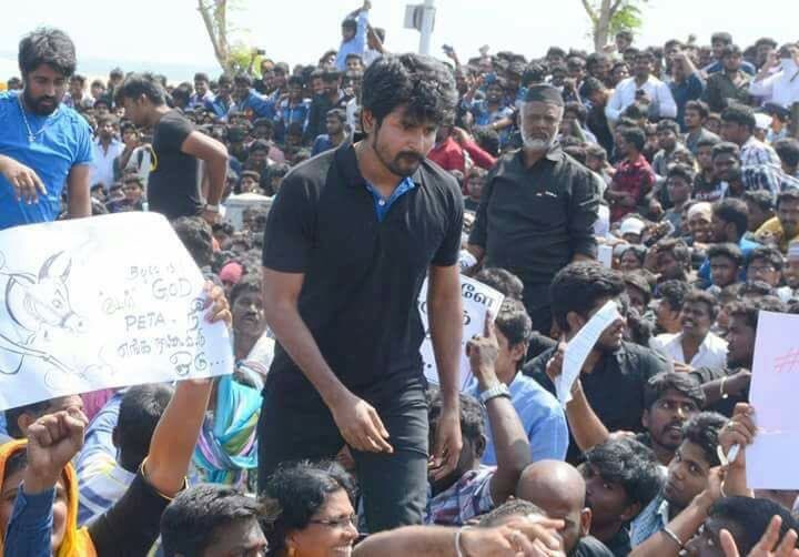 Sivakarthikeyan Suriya,Karthi,Sivakarthikeyan,Sivakarthikeyan's daughter Aaradhana,Aaradhana,Marina Jallikattu protest,Marina protest,celebs at Marina protest,Jallikattu protest,Jallikattu protest pics,Jallikattu protest images