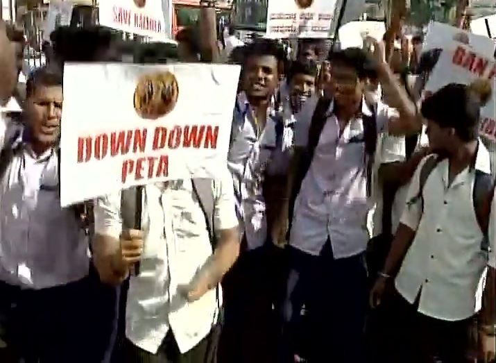 Photos of Students stage a protest in Mangaluru, demanding ban on PETA and permission to conduct Kambala (buffalo race). Kambala protest,Kambala,PETA,Ban PETA,PETA Ban,Kambala protest pics,Kambala protest images,Kambala protest photos,Kambala protest stills,Kambala protest pictyres