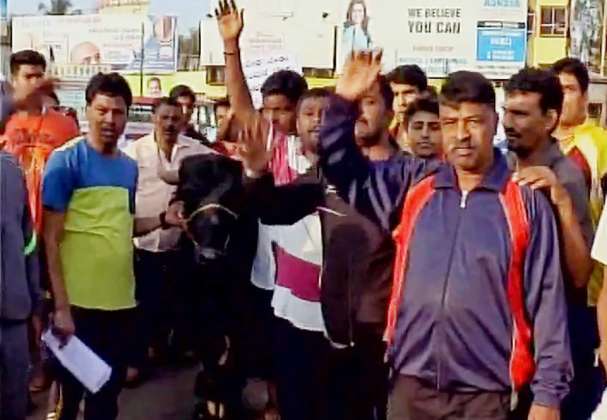 Photos of Students stage a protest in Mangaluru, demanding ban on PETA and permission to conduct Kambala (buffalo race). Kambala protest,Kambala,PETA,Ban PETA,PETA Ban,Kambala protest pics,Kambala protest images,Kambala protest photos,Kambala protest stills,Kambala protest pictyres