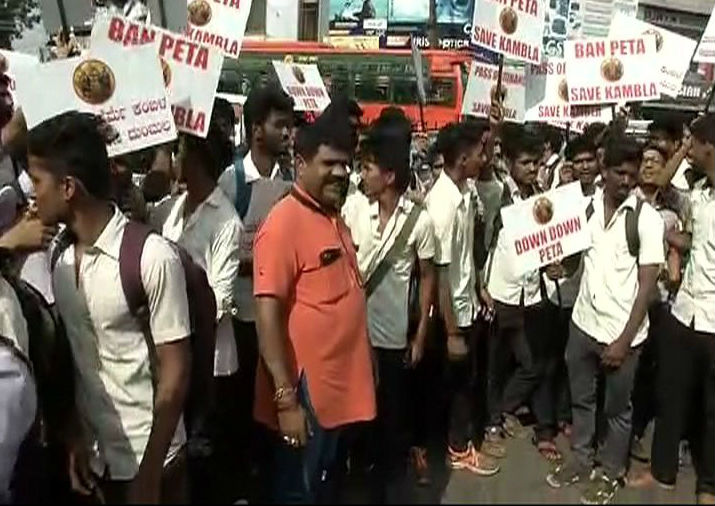 Photos of Students stage a protest in Mangaluru, demanding ban on PETA and permission to conduct Kambala (buffalo race). Kambala protest,Kambala,PETA,Ban PETA,PETA Ban,Kambala protest pics,Kambala protest images,Kambala protest photos,Kambala protest stills,Kambala protest pictyres