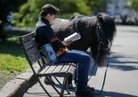 A man with his pony in central of Slaviansk.