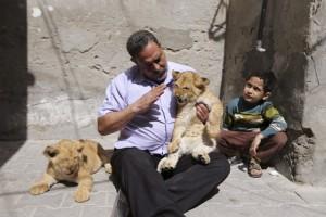 Unusual pets,pets,people and pets,odd ones out
