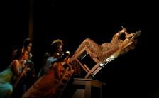 Beyonce performs.