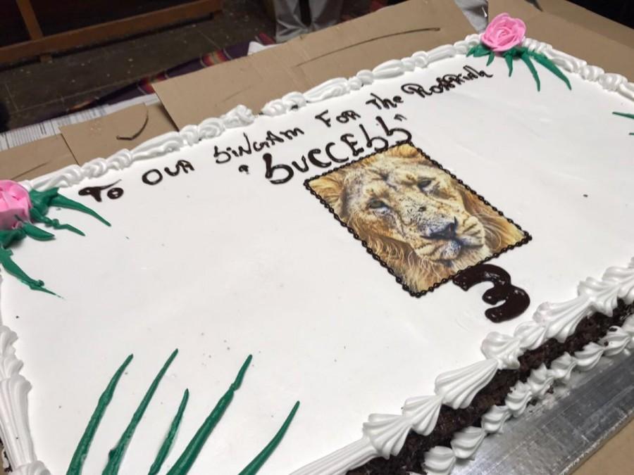 Suriya's Singam 3 (Si 3) success celebration on the sets of Thaanaa Serndha Koottam. Suriya,Singam 3,SI 3,SI 3 sucess meet,Singam 3 sucess meet,Singam 3 sucess meet pics,Singam 3 sucess meet images,Singam 3 sucess meet photos,Singam 3 sucess meet stills