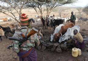 Cattle rustling,Drought stokes,Kenyan cattle herders,northern Kenya,Kenya,political rivalries,ethnic tribes,tribes