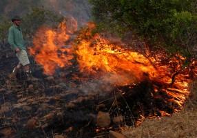Cattle rustling,Drought stokes,Kenyan cattle herders,northern Kenya,Kenya,political rivalries,ethnic tribes,tribes