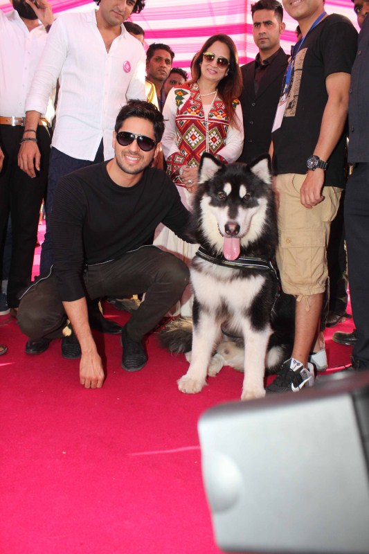 Celebs like Priya Dutt, Sidharth Malhotra, Smita Thackeray, Arbaaz Khan, Ramesh Taurani, Deepshikha Nagpal, Rajesh Khattar, Vandana Sajnani, Shaan, Poonam Dhillon, Aftab Shivdasani, Jimmy Shergill, Pooja spotted at Glam Dogs event in Mumbai. Priya Dutt,Sidharth Malhotra,Smita Thackeray,Arbaaz Khan,Ramesh Taurani,Deepshikha Nagpal,Rajesh Khattar,Vandana Sajnani,Glam Dogs,Glam Dogs event