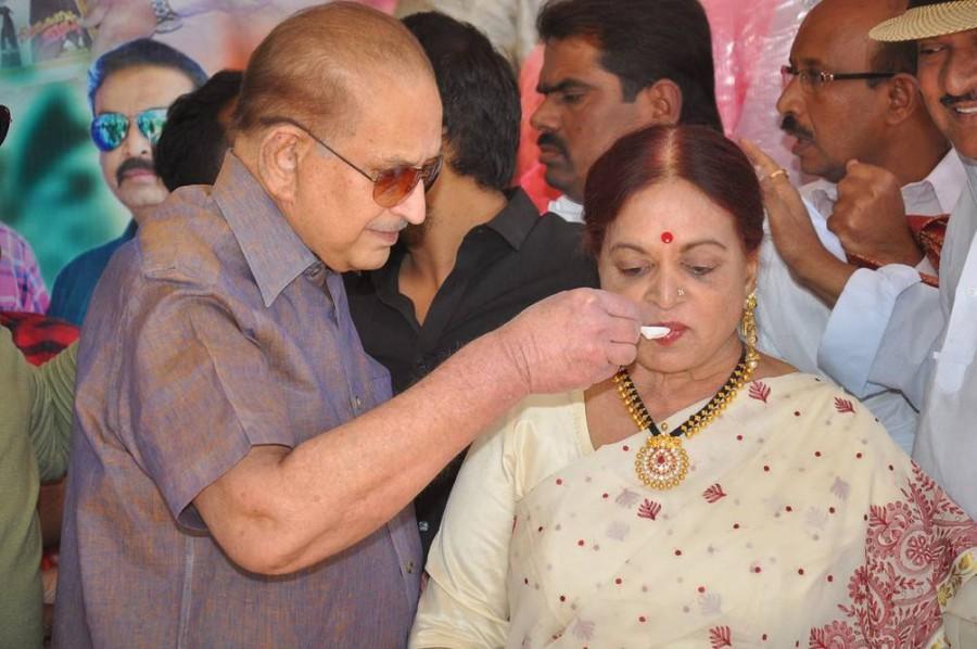 Vijaya Nirmala celebrated her Birthday at Hyderabad. Celebs like Krishna, Rajendra Prasad, Naresh wife Ramya Raghupathi, son Naveen, Paruchuri Venkateswara Rao, Vijaya Naresh, Shivaji Raja, Suresh Kondeti and others graced the event. Vijaya Nirmala,Vijaya Nirmala birthday,Vijaya Nirmala birthday celebrations,Krishna,Rajendra Prasad,Naresh wife Ramya Raghupathi,son Naveen,Paruchuri Venkateswara Rao