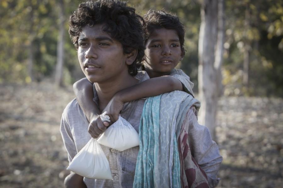 Special screening of LION held in India for Australian Cricket Team. LION,LION Special screening,LION Special screening for Australian Cricket Team,Australian Cricket Team,Garth Davis,Mithcell Starc,Usman Khawaja