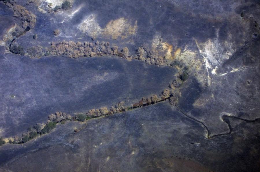 Burnt trees line a small creek in a paddock affected by a fire on the outskirts of Melbourne. Australia from the air,Australia from air,Australia from above,Australia,Awesome Australia,Australia from above pics,Australia from above images,Australia from above photos,Australia from above stills,Australia from above pictures